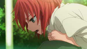 Mahoutsukai no Yome: Hoshi Matsu Hito